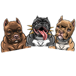 Pet Cartoon Design image 0