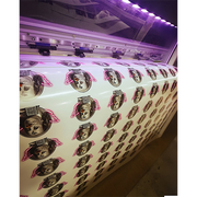 Custom Shaped Stickers